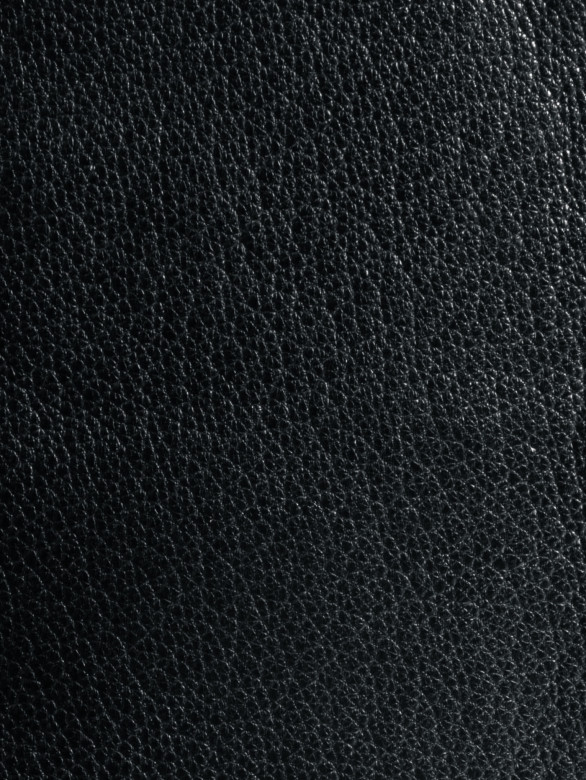 Варежки мужские Fascino 5542 черный 