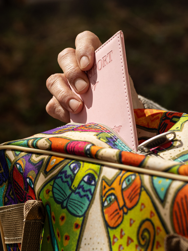 Сумка дорожная Voyage 204 кошки Сумка дорожная Voyage 204 кошки