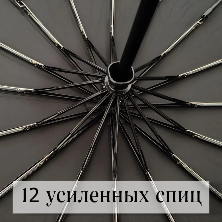 Зонт мужской Popular 2600-MN 12 спиц чёрный, полный автомат, ручка крюк пластик
