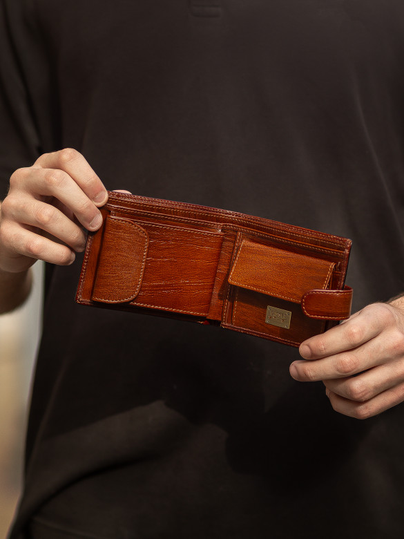 Портмоне мужское Cosset F14-327-1432 коричневое